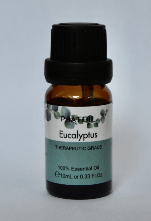 Misty Fragrance oil single Eucalyptus